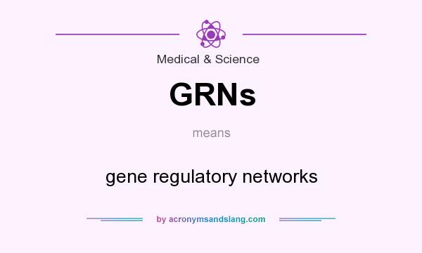 What does GRNs mean? It stands for gene regulatory networks