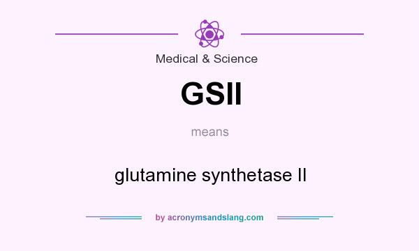 What does GSII mean? It stands for glutamine synthetase II