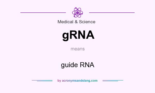 What does gRNA mean? It stands for guide RNA