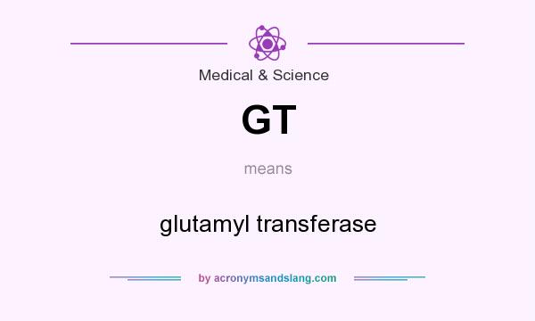 What does GT mean? It stands for glutamyl transferase