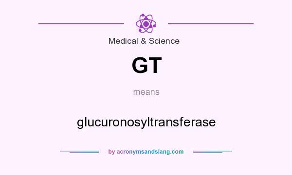 What does GT mean? It stands for glucuronosyltransferase