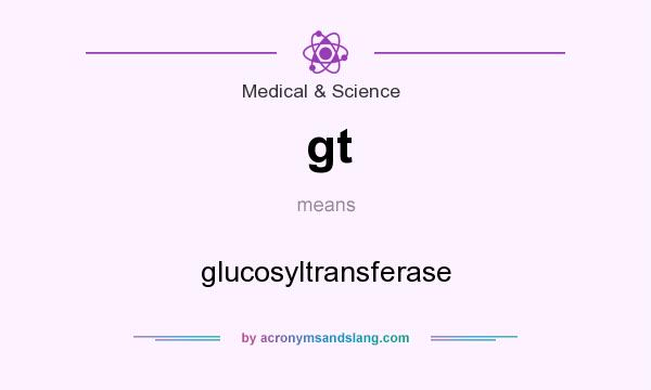 What does gt mean? It stands for glucosyltransferase
