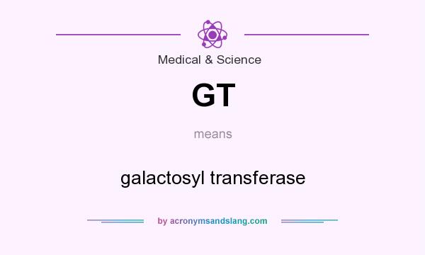 What does GT mean? It stands for galactosyl transferase