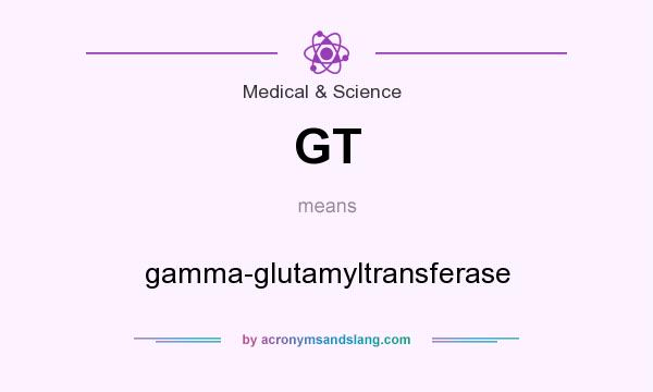 What does GT mean? It stands for gamma-glutamyltransferase