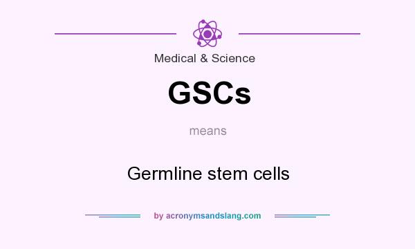 What does GSCs mean? It stands for Germline stem cells