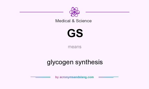 What does GS mean? It stands for glycogen synthesis
