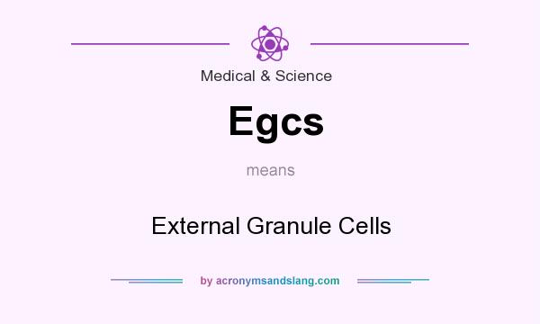 What does Egcs mean? It stands for External Granule Cells