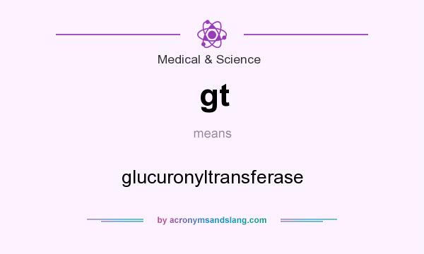 What does gt mean? It stands for glucuronyltransferase