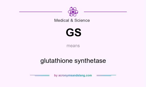 What does GS mean? It stands for glutathione synthetase