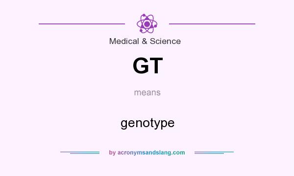 What does GT mean? It stands for genotype