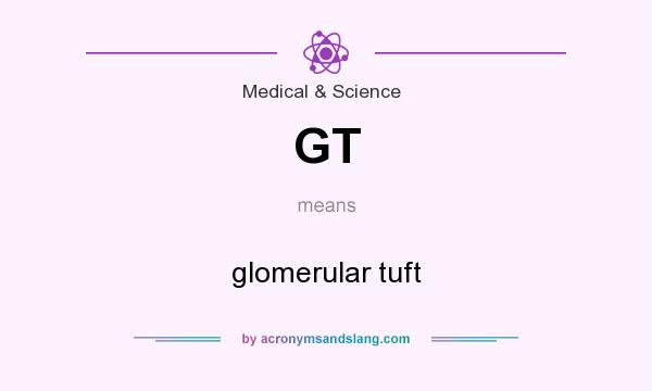What does GT mean? It stands for glomerular tuft