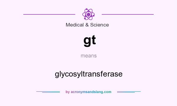 What does gt mean? It stands for glycosyltransferase