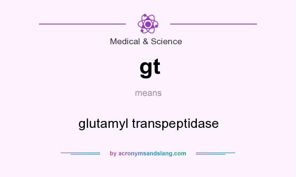 What does gt mean? It stands for glutamyl transpeptidase