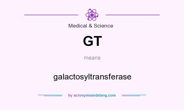 What does GT mean? It stands for galactosyltransferase