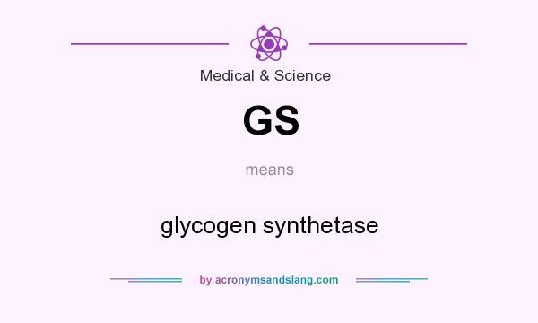 What does GS mean? It stands for glycogen synthetase