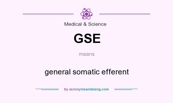 What does GSE mean? It stands for general somatic efferent