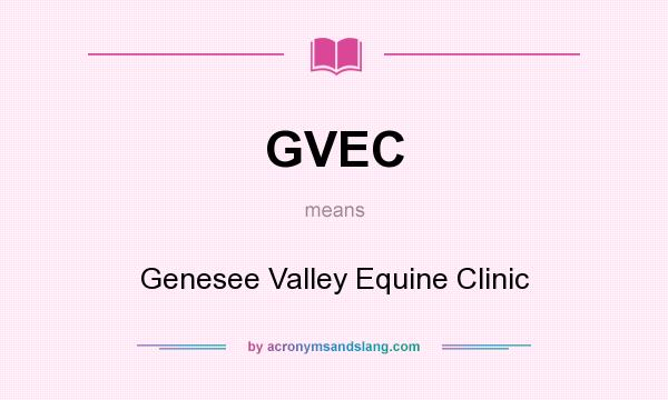 What does GVEC mean? It stands for Genesee Valley Equine Clinic
