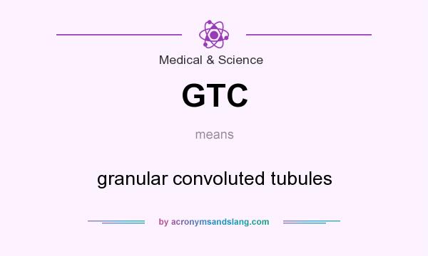 What does GTC mean? It stands for granular convoluted tubules