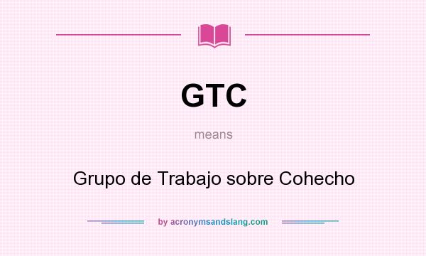 What does GTC mean? It stands for Grupo de Trabajo sobre Cohecho