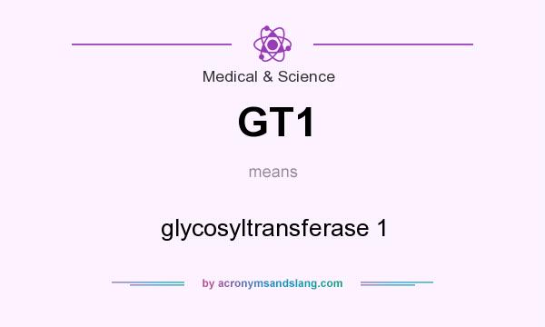 What does GT1 mean? It stands for glycosyltransferase 1