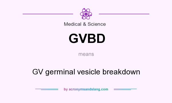 What does GVBD mean? It stands for GV germinal vesicle breakdown