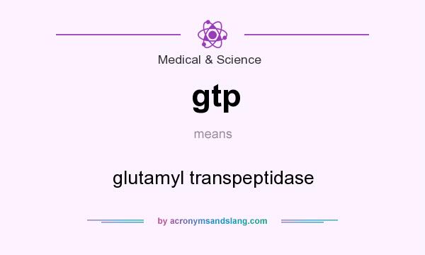 What does gtp mean? It stands for glutamyl transpeptidase
