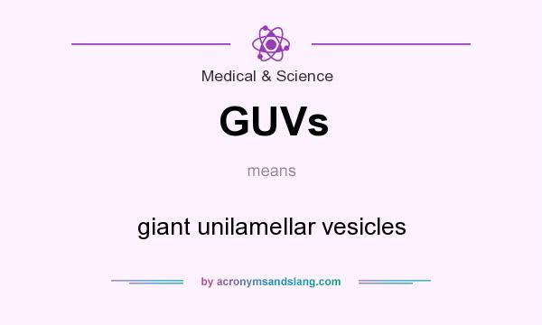 What does GUVs mean? It stands for giant unilamellar vesicles
