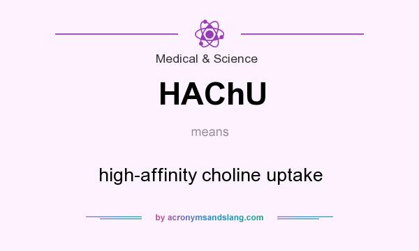 What does HAChU mean? It stands for high-affinity choline uptake