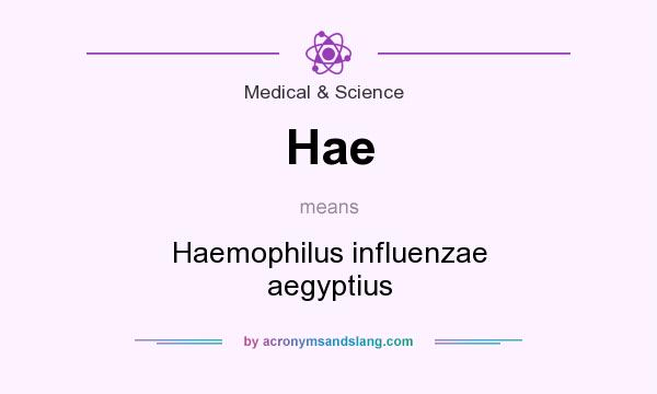 What does Hae mean? It stands for Haemophilus influenzae aegyptius