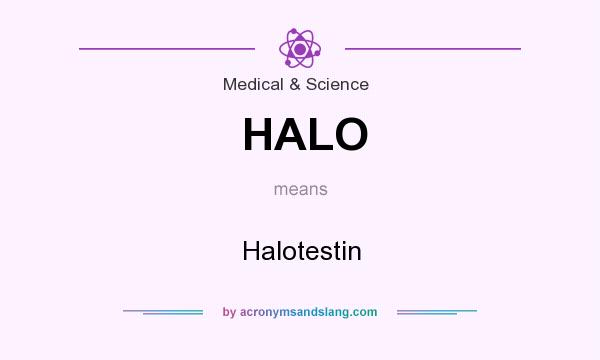 What does HALO mean? It stands for Halotestin