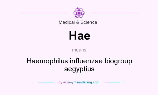 What does Hae mean? It stands for Haemophilus influenzae biogroup aegyptius