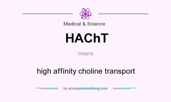 What does HAChT mean? It stands for high affinity choline transport