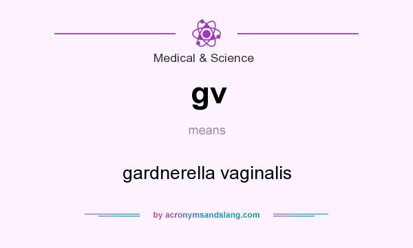 What does gv mean? It stands for gardnerella vaginalis