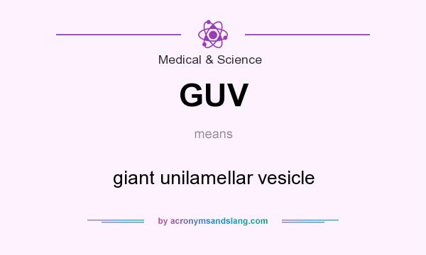 What does GUV mean? It stands for giant unilamellar vesicle