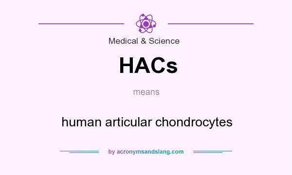What does HACs mean? It stands for human articular chondrocytes