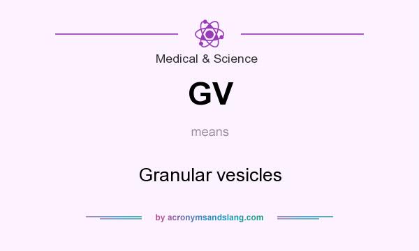 What does GV mean? It stands for Granular vesicles