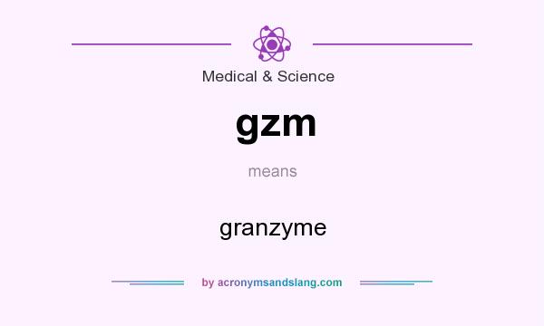 What does gzm mean? It stands for granzyme
