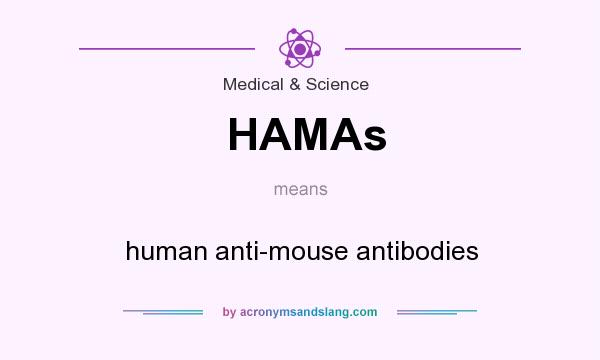 What does HAMAs mean? It stands for human anti-mouse antibodies
