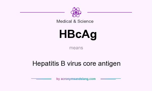 What does HBcAg mean? It stands for Hepatitis B virus core antigen