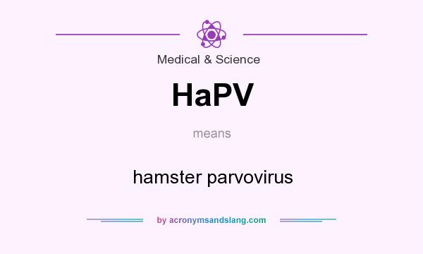What does HaPV mean? It stands for hamster parvovirus