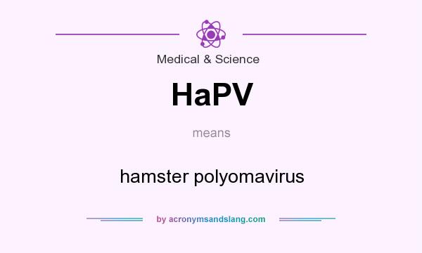 What does HaPV mean? It stands for hamster polyomavirus