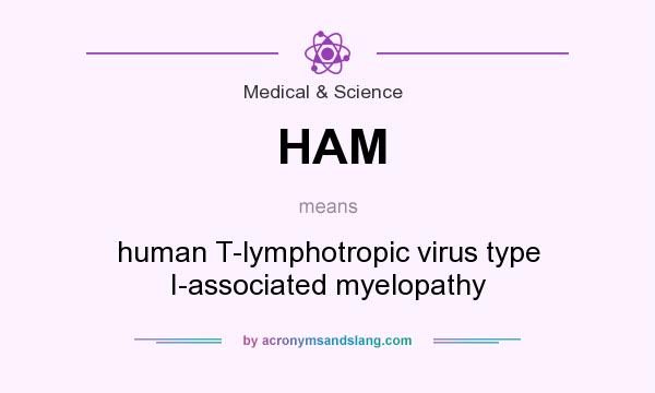 What does HAM mean? It stands for human T-lymphotropic virus type I-associated myelopathy