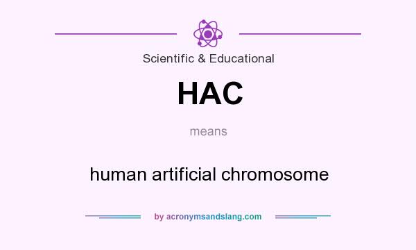 What does HAC mean? It stands for human artificial chromosome