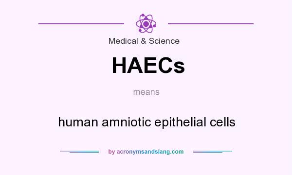 What does HAECs mean? It stands for human amniotic epithelial cells