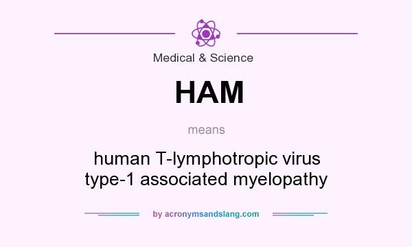 What does HAM mean? It stands for human T-lymphotropic virus type-1 associated myelopathy
