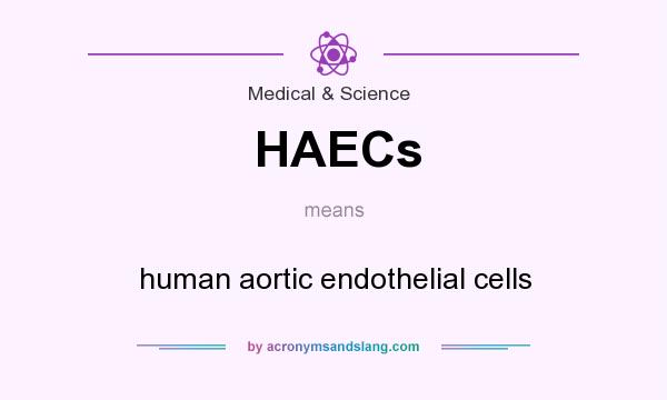 What does HAECs mean? It stands for human aortic endothelial cells