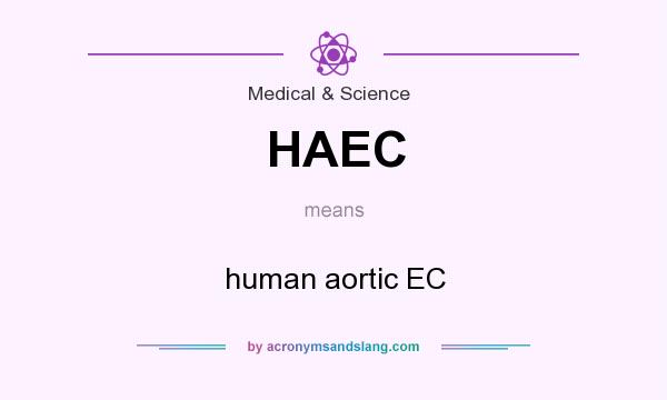 What does HAEC mean? It stands for human aortic EC