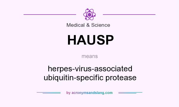 What does HAUSP mean? It stands for herpes-virus-associated ubiquitin-specific protease