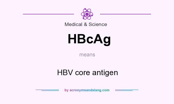 What does HBcAg mean? It stands for HBV core antigen
