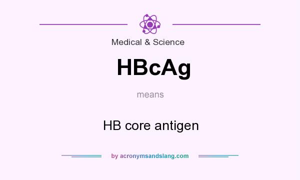 What does HBcAg mean? It stands for HB core antigen